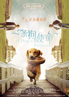 精品福利一二区